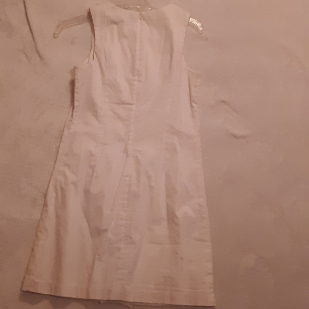 Zinc Ruffled Dress - Picture 2 of 2